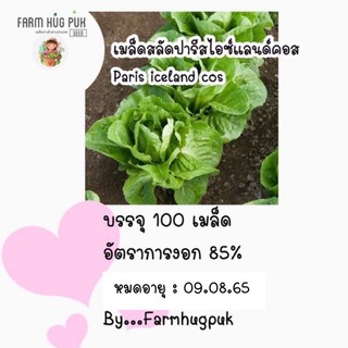 เมล็ดพันธุ์ผักสลัดปารีสไอแลนด์คอส100เมล็ด