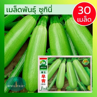 [30เมล็ด ] เมล็ดพันธุ์ ซูกินี่ สีเขียว เมล็ดซูกินี่ เมล็ดพันธุ์ซูกินี่ เมล็ดซูกินีเขียว Green Zucchini Seeds พันธุ์แท้