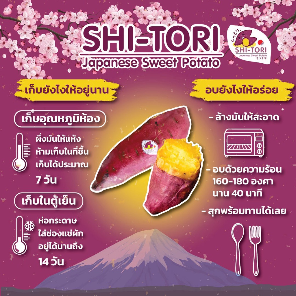 มันหวานญี่ปุ่น-100-shi-tori-คัดพิเศษ-size-m-สายพันธุ์ญี่ปุ่น-ปลูกที่ญี่ปุ่น-ส่งตรงจากเมือง-ibaraki