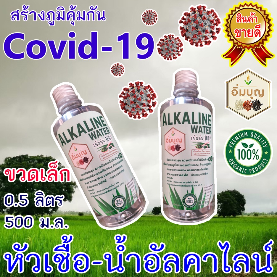 น้ำอัลคาไลน์-น้ำด่าง-ph-13-ขวดเล็ก-500-มล-alkaline-water-เข้มข้น-หัวเชื้อผสมน้ำ-กรดไหลย้อน-ท้องอืด