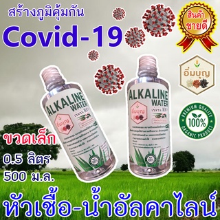 น้ำอัลคาไลน์ น้ำด่าง PH.13 (ขวดเล็ก 500 มล.)  Alkaline Water (เข้มข้น) หัวเชื้อผสมน้ำ กรดไหลย้อน ท้องอืด