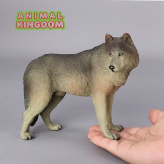 Animal Kingdom - โมเดลสัตว์ หมาป่า เทา ขนาด 18.00 CM (จากหาดใหญ่)