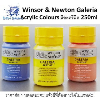 สินค้า สีอะคริลิค 250ml. Winsor & Newton Galeria Acrylic Colours จำนวน 1 ขวด