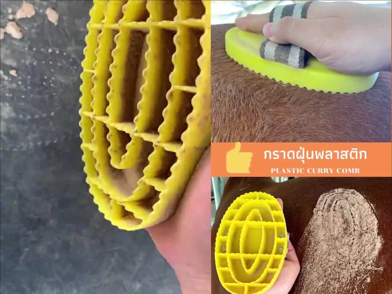 กราดฝุ่นพลาสติก-plastic-curry-comb