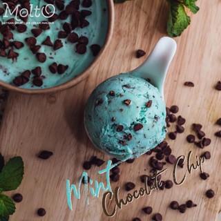 ภาพหน้าปกสินค้าMint Chip (ไอศกรีม มิ้น ชิพ 1 ถ้วย 16 oz.) - Molto premium Gelato ที่เกี่ยวข้อง