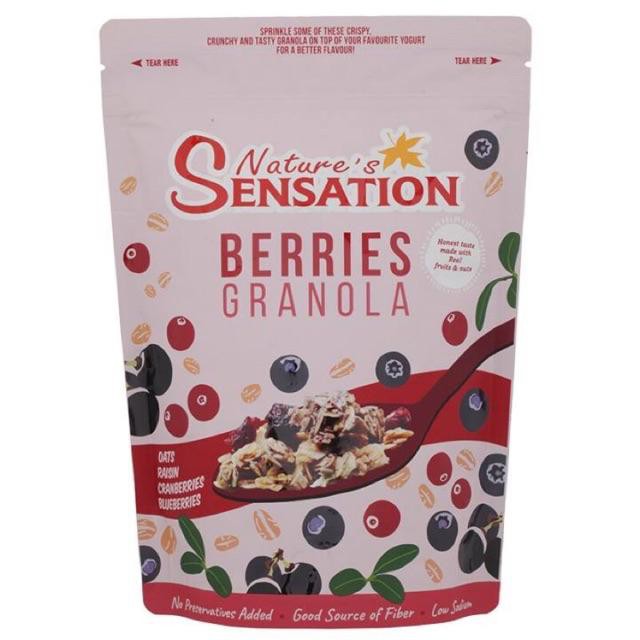 ภาพหน้าปกสินค้ากราโนล่า ล็อตใหม่ Nature's Sensation Cocoa&Berrys&Nutty&Original Granola 454กรัมอร่อยมีประโยชน์ช่วยคุมน้ำหนัก จากร้าน amnattupnoon บน Shopee