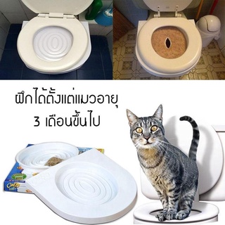 CSH ชุดฝึกแมวเข้าห้องน้ำ สำหรับแมวทุกวัย CitiKitty 09-Sep-J1