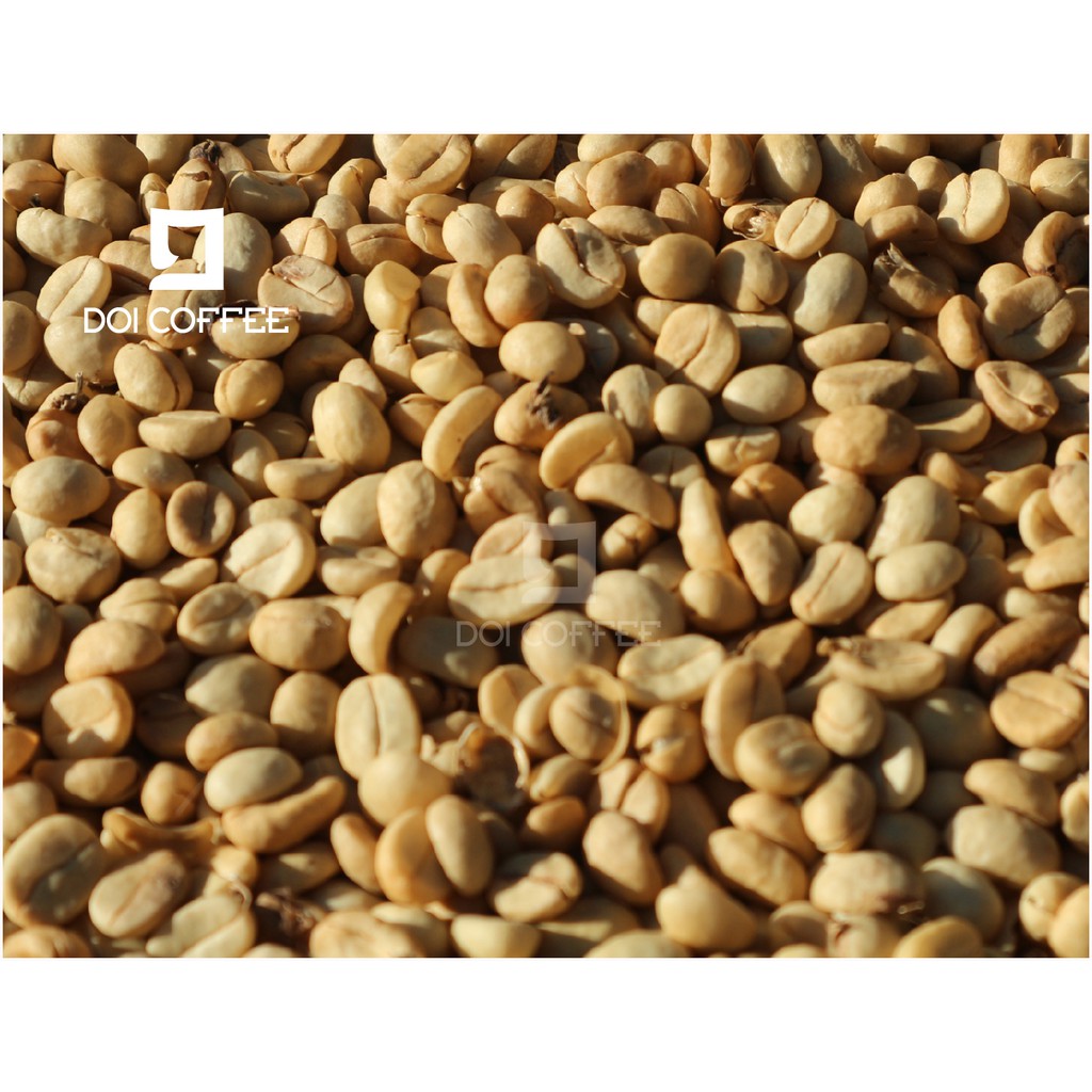 เมล็ดกาแฟ-อาราบิก้า100-เกรด-a-คั่วสด-คั่วกลางเข้ม-medium-to-dark-roast-1ถุง-บรรจุ-250-g-เมล็ดกาแฟดอยแม่สลอง