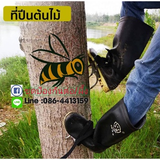 อุปกรณ์ปีนต้นไม้ ที่ปีนต้นไม้ (Tree Climbing)