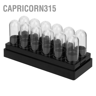 Capricorn315 หลอดพลาสติกเปล่า ขนาดเล็ก สําหรับใส่ลิปสติก ลิปบาล์ม Diy 12 ชิ้น