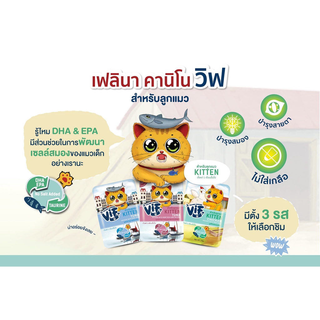 อาหารเปียก-มูส-อาหารเปียกแมว-felina-canino-vif-75-กรัม