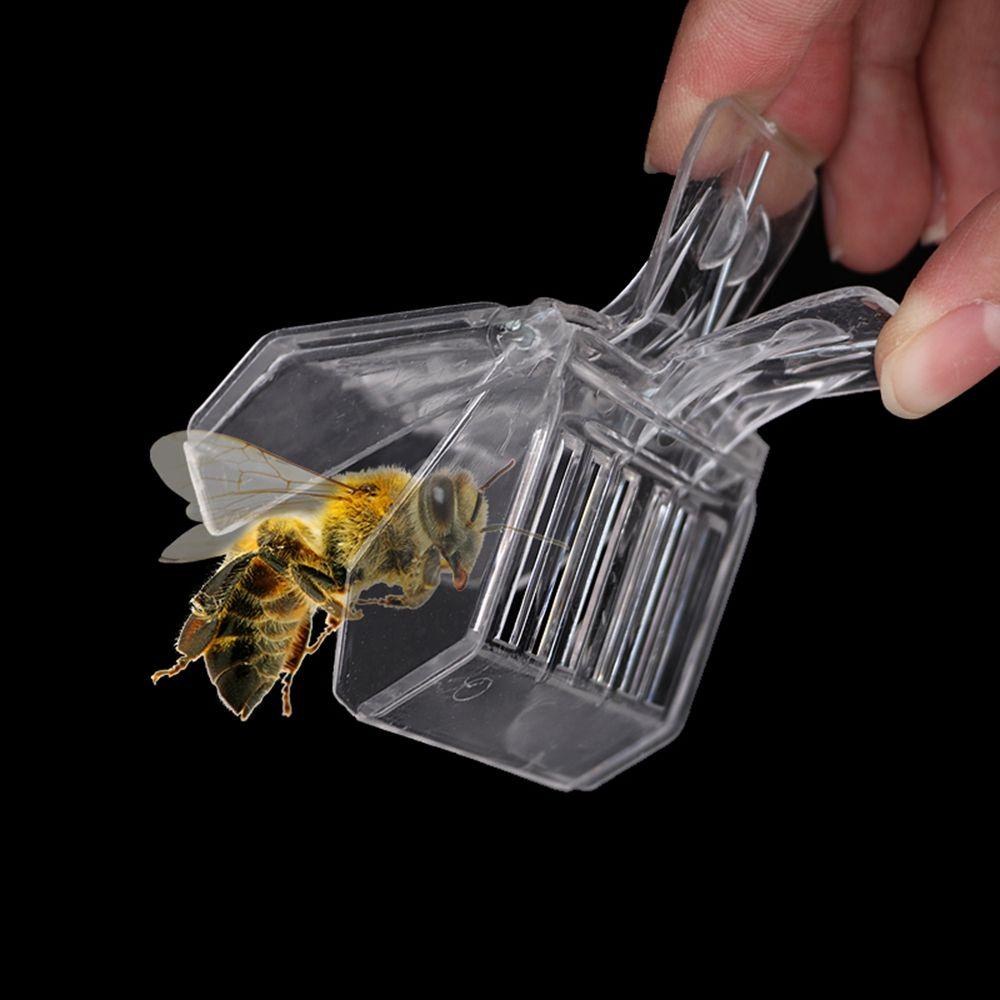 alisondz-คลิปผึ้ง-ห้องแยก-กรงผึ้งใส-อุปกรณ์เลี้ยงผึ้ง-อุปกรณ์เลี้ยงผึ้ง-ราชินี-ที่จับผึ้ง-เครื่องมือเลี้ยงผึ้ง