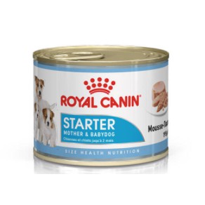 royal-canin-start-mousse-อาหารสุนัข-สำหรับแม่สุนัขและลูกสุนัข-195-กรัม