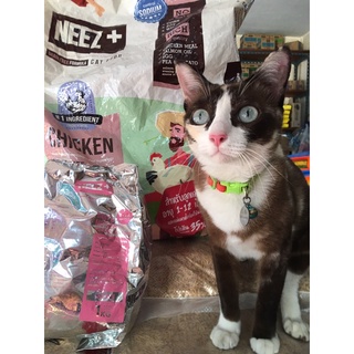 ภาพหน้าปกสินค้าอาหารลูกแมวNeez+ สำหรับลูกแมว2 เดือนขึ้นไป ถุงฟรอย 1 กิโล ที่เกี่ยวข้อง