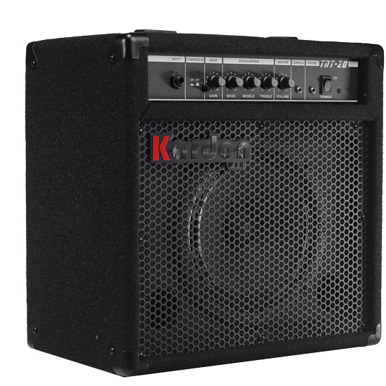 แอมป์เบส-kardon-tnt20-bass-amps