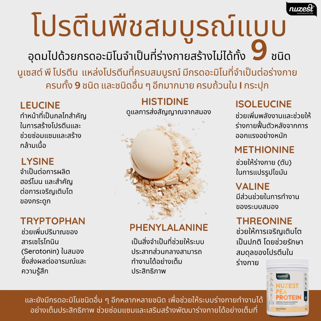 ภาพสินค้าNuzest Pea Protein นูเซสต์ พี โปรตีน  ขนาด 500 กรัม รสกาแฟ จากร้าน nuzest_thailand บน Shopee ภาพที่ 4