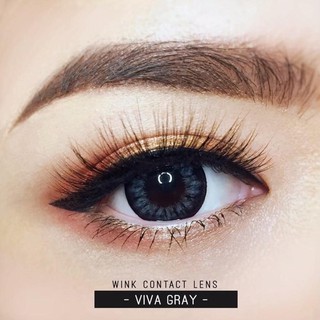 VIVA Gray ✨ Wink Lens บิ๊กอาย สีเทา เทา ตาโต โทนแบ๊ว เรียบร้อย Contact Lens Bigeyes คอนแทคเลนส์ ค่าสายตา สายตาสั้น แฟชั