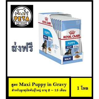 Royal Canin Maxi Puppy in Gravy