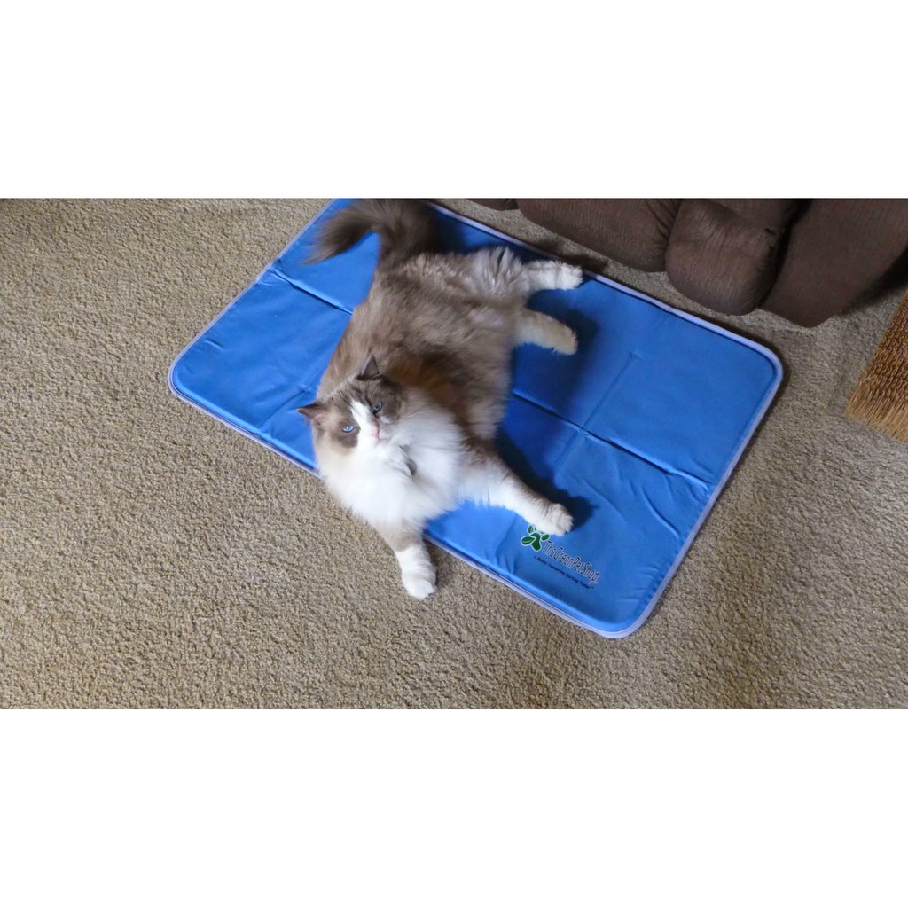 pet-cool-mat-แผ่นเจลรองนอนหมา-แผ่นเจลเย็นสุนัข-ที่นอนเจลเย็นสำหรับสุนัข-size-s-30-40-cm