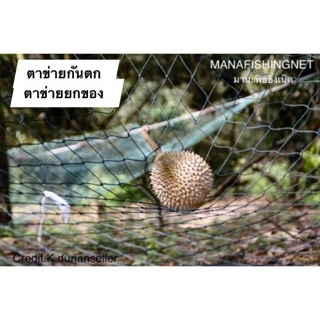 ตาข่ายยกของ-lift-net-กันตก-ขนาด-4x5-เมตร