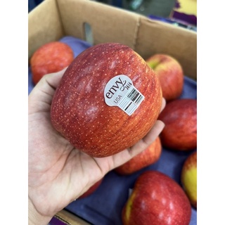 ภาพหน้าปกสินค้าแอปเปิ้ล Envy USA  ขึ้นชื่อความอร่อย อันดับ 1 ตลาดกาล ฤดูกาลนี้จากประเทศอเมริกา 🇺🇸 ที่เกี่ยวข้อง