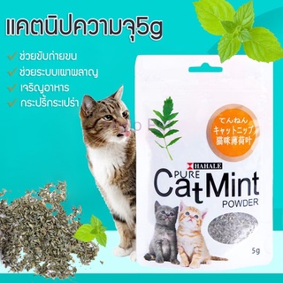 ภาพหน้าปกสินค้าหญ้าชนิดหนึ่งสำหรับแมวราคาถูก แคปนิท กัญชาแมว Cat Mint 5 กรัม / ถุง ซึ่งคุณอาจชอบสินค้านี้