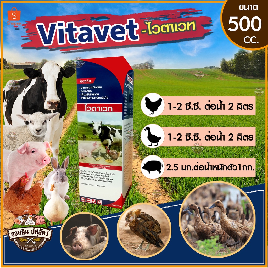 ไวตาเวท-vitavet-500-cc-วิตามินรวม-แบบน้ำ-ป้องกันอาการขนาดวิตามิน-เสริมการเจริญเติบโตให้แก่สัตว์-เพิ่มภูมิต้านทานโรค