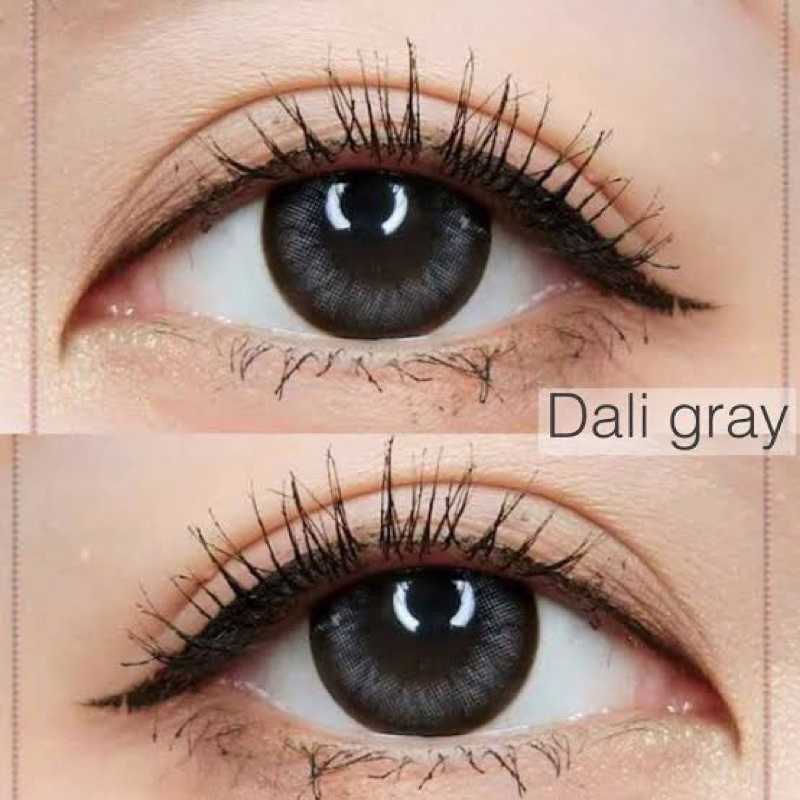 dali-gray-wink-lens-ขนาดโต-บิ๊กอาย-กรองแสง-uv-เลนส์แท้จดทะเบียนถูกต้อง-บิ๊กอาย-คอนแทคเลนส์bigeye