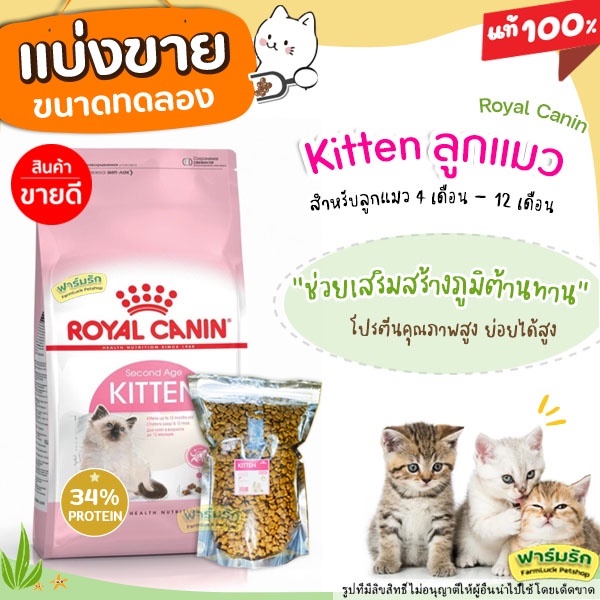 แบ่งขาย-royal-canin-อาหารแมว-สูตรแมวเด็ก-บรรจุถุงซิลล็อก-ซีลร้อน-แบบตั้งได้-g2