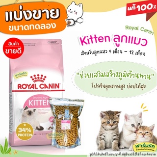 ✅แบ่งขาย✅ Royal Canin อาหารแมว สูตรแมวเด็ก บรรจุถุงซิลล็อก ซีลร้อน แบบตั้งได้ 【G2】