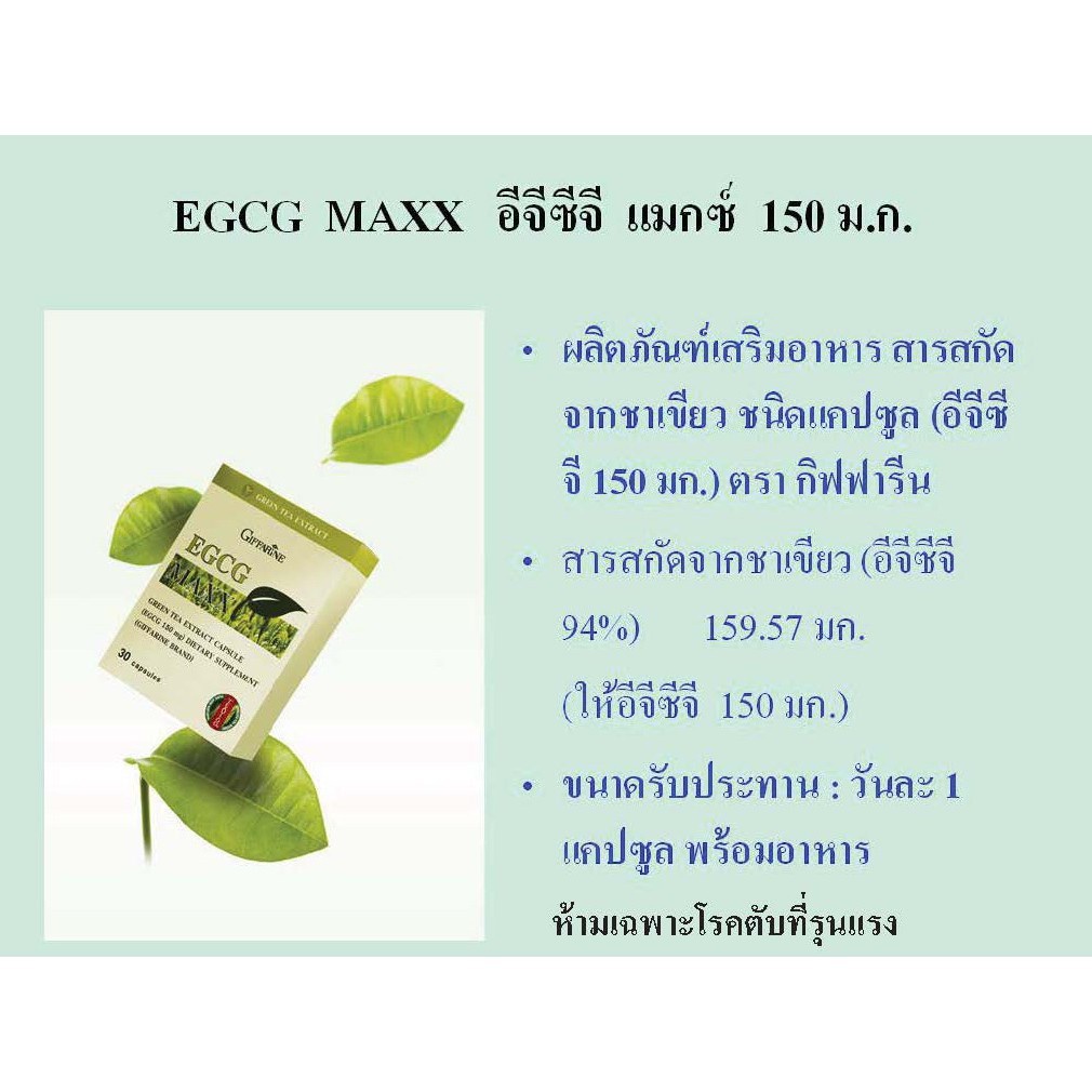 อาหารเสริม-ลดน้ำหนัก-สารสกัดจากชาเขียว-ชาเขียว-egcg-maxx-giffarine-อี-จี-ซี-จี-แมกซ์-กิฟฟารีน