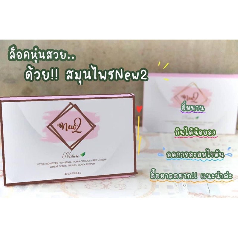 นิวทู-new2-ล้มช้างลดไว