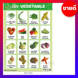 โปสเตอร์กระดาษ ผัก Vegetables EQ-503 ภาพโปสเตอร์ เรียนรู้คำศัพท์ ภาษาอังกฤษ / ภาษาไทย 2 ภาษา