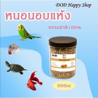 DOD หนอนอบแห้ง 550ml/กระปุก ขนมหนูแอมสเตอร์ ของกินเล่น หนูแฮมเตอร์ เม่น ปลา นก เต่า พร้อมส่ง