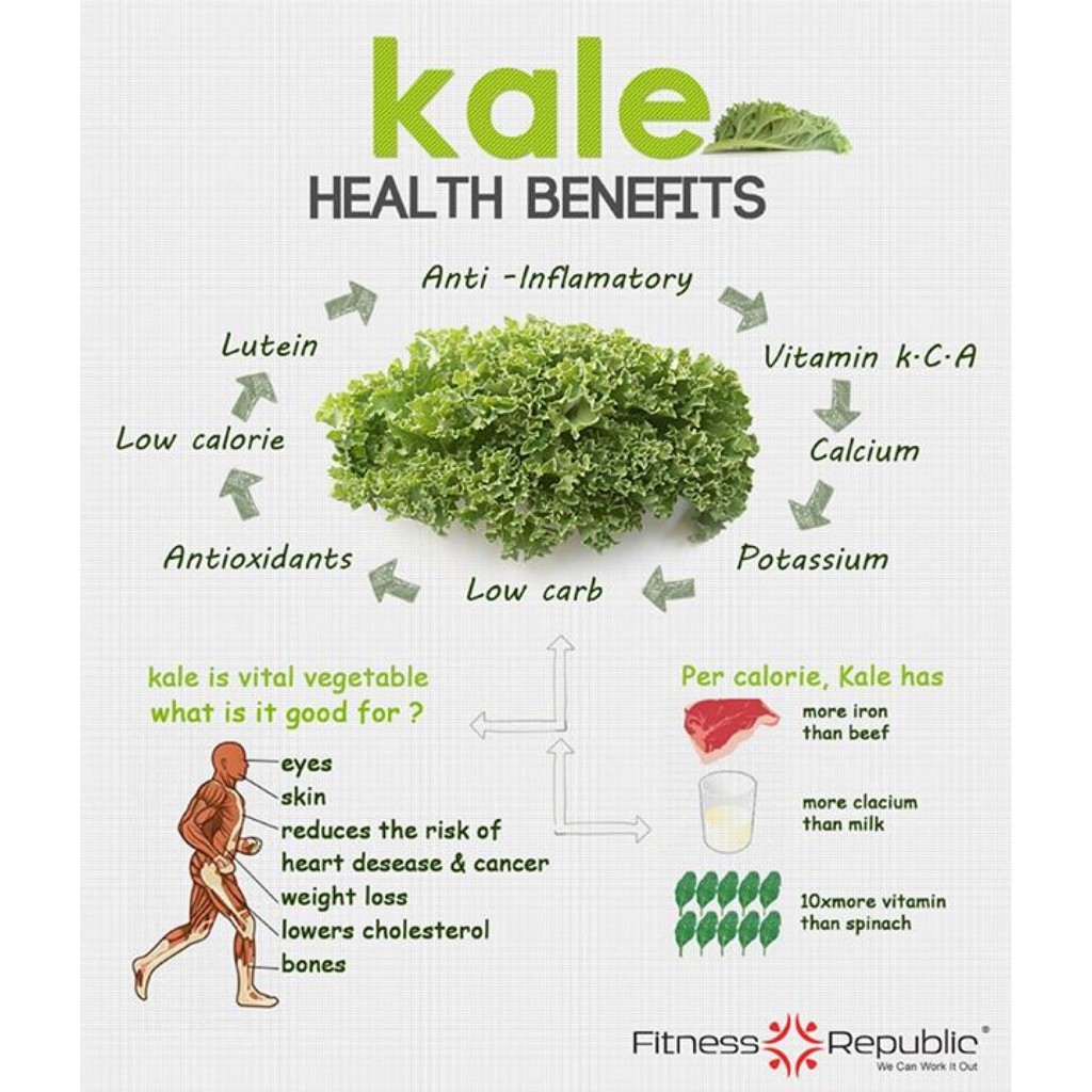 ภาพหน้าปกสินค้าผงผักเคล ออร์แกนิค (Organic Kale Powder) สกัดเข้มข้น 10 250g จากร้าน janehorbunluekij บน Shopee