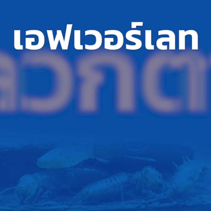 น้ำยากำจัดปลวก-ยากำจัดปลวก-ยาปลวก-เอฟเวอร์เลท-สูตรน้ำไม่มีกลิ่น-ปลวกตายถึงรัง