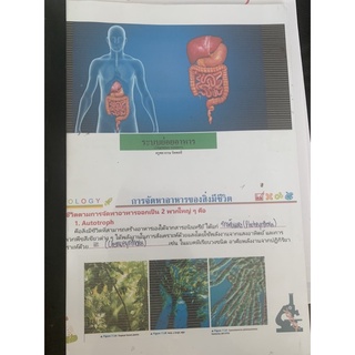 ชีทชีวะ ระบบย่อยอาหาร มือ 2 biology