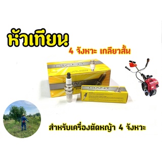 หัวเทียน  GIANT CMR5-GH สำหรับเครื่องตัดหญ้า 4 จังหวะ และรุ่นอื่น ๆ คุณภาพมาตราฐาน