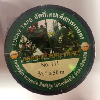 สินค้า เทปพันกิ่ง ขนาด 3/4”,  1“, 1 1/4”, 1 1/2”, 2”