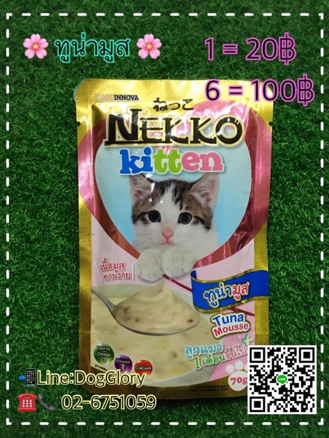 อาหารเปียก-ลูกแมว-แมวโต-nekko-เนโกะ-เน็กโกะ