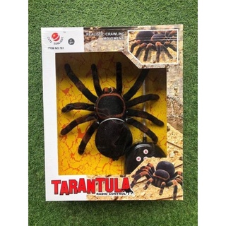 remote controlled spider toy for fun and pranks