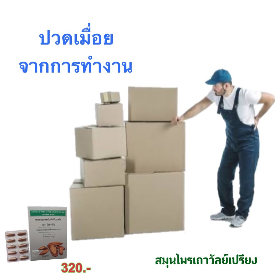 ส่งฟรี-เถาวัลย์เปรียง-เส้นยึด-เส้นตึง-นิ้วล็อค-ปวดตามข้อ-ออฟฟิศซินโดรม-เอ็นอักเสบ-ปวดคอ-แขน-บ่าไหล่-ปวดเมื่อยกล้ามเนื้อ