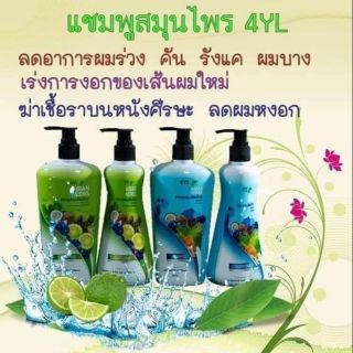 แชมพูสมุนไพรไทย 1ชุด 350บาทมีแชมพูกับครีมนวด ส่งฟรีทั่วประเทศ