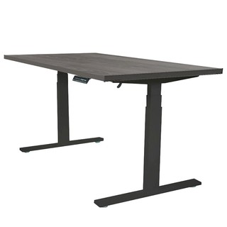 โต๊ะทำงาน โต๊ะทำงานปรับระดับ ERGOTREND SIT 2 STAND GEN2 180 ซม. สี TWILIGHT ELM/ดำ เฟอร์นิเจอร์ห้องทำงาน เฟอร์นิเจอร์ ขอ