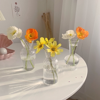 ภาพขนาดย่อของภาพหน้าปกสินค้าแจกันแก้วใสตกแต่งห้องนั่งเล่นแจกันดอกไม้ไฮโดรโปนิกส์ จากร้าน lebabi.th บน Shopee