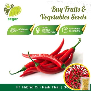 Biji Benih Sayur-Sayuran / Vegetable seeds SEGARเด็ก/บุรุษ/สร้อยข้อมือ/หมวก/สวน/มะละกอ/กุหลาบ/เสื้อ/seeds/ผักชี/ MHWE