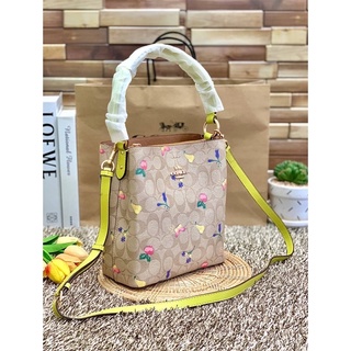 Coach Small Town Bucket Bag In Signature With Dreamy Veggie Print ((C8254))