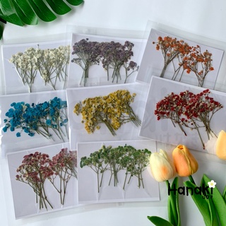 ภาพหน้าปกสินค้า【พร้อมส่ง】ยิปโซทับ ดอกยิปโซ  ยิบโซทับแห้ง ดอกไม้แห้ง ซึ่งคุณอาจชอบสินค้านี้