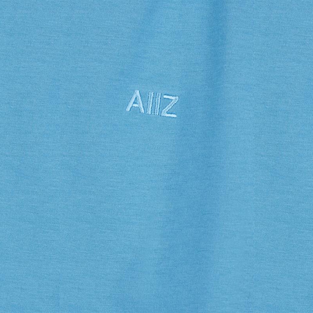 aiiz-เอ-ทู-แซด-เสื้อยืดคอวี-ปักโลโก้-aiiz-aiiz-t-shirts