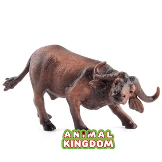 Animal Kingdom - โมเดลสัตว์ ควายป่า น้ำตาล ขนาด 13.00 CM (จากหาดใหญ่)